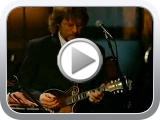 Lyle Lovett - Bears